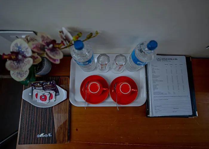 Satkar Hotel 3*